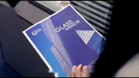 샤워 도어용 6mm/8mm/10mm/12mm 플로트 안전 강화 평면 유리가 있는 프레임 없는 저철분 모양